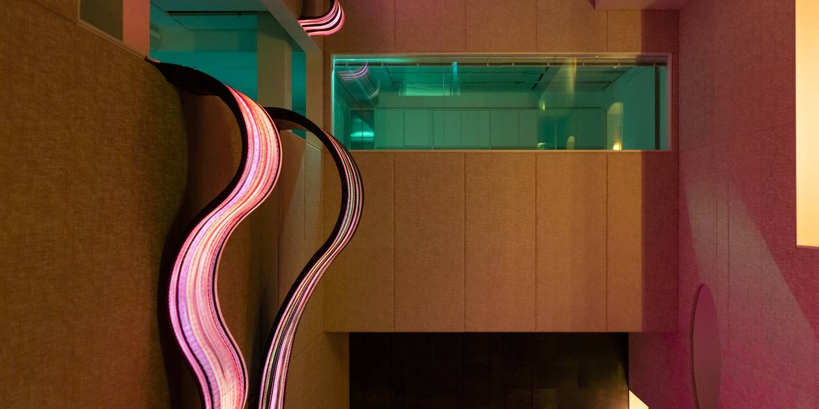 Daniel Canogar: arte digital, luz y memoria colectiva