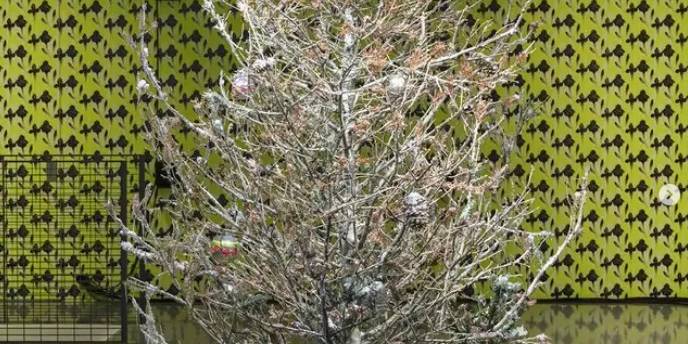 Sculptures for Gardens: How Art Transforms Outdoor Spaces