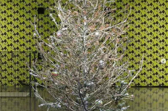 Sculptures for Gardens: How Art Transforms Outdoor Spaces